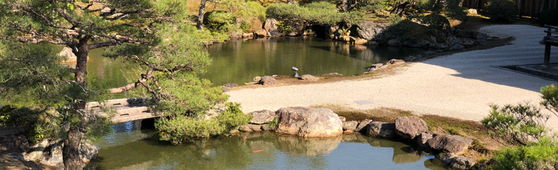 Jardin japonais, symbole de la culture et de la sérénité, illustrant l’environnement unique à découvrir lors d’un séjour linguistique au Japon.