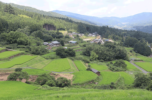 etudier au Japon a Nagoya ou nagano