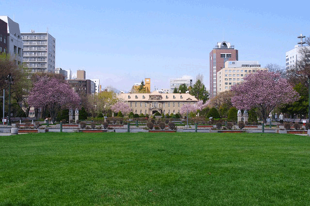 ecole de japonais a Sapporo hokkaido
